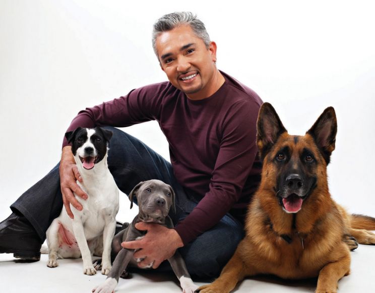 Cesar Millan