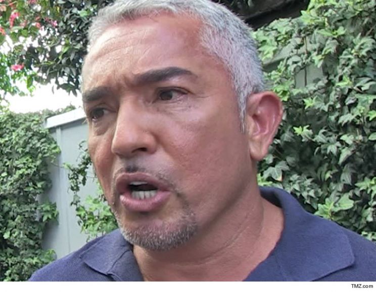 Cesar Millan