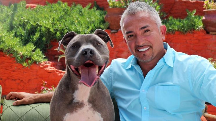 Cesar Millan