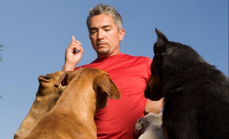 Cesar Millan
