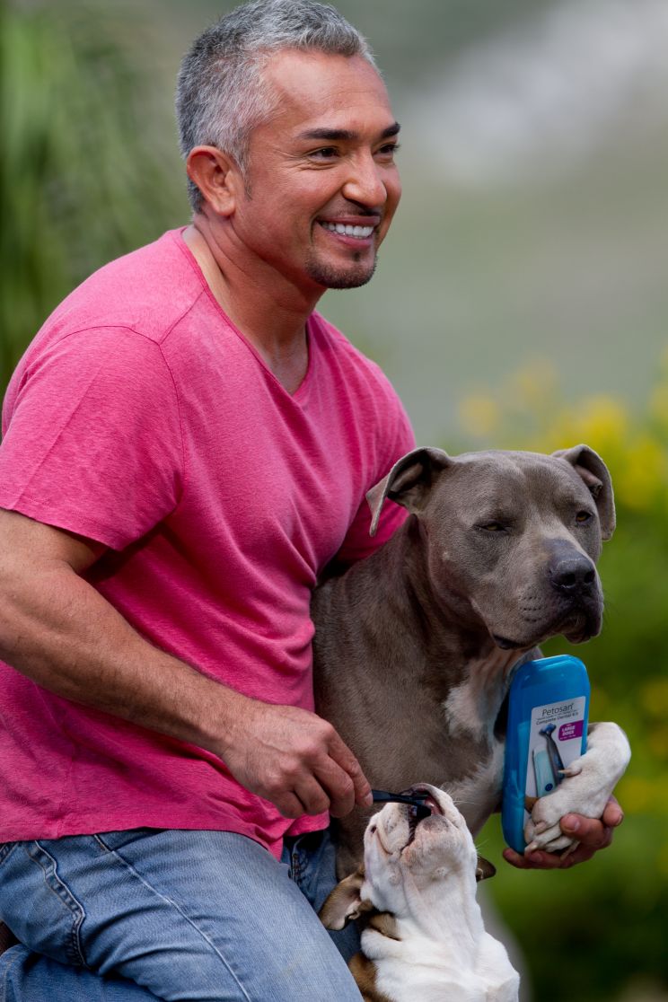 Cesar Millan