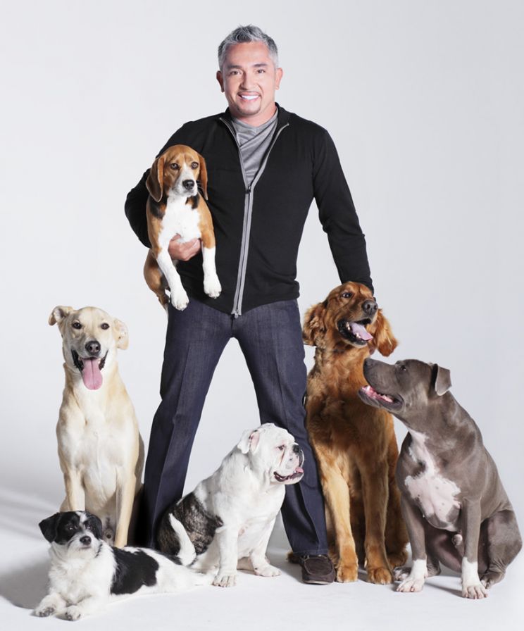 Cesar Millan