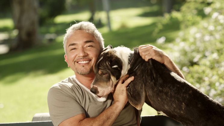 Cesar Millan