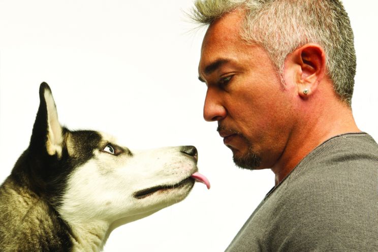 Cesar Millan