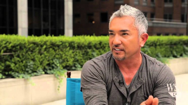 Cesar Millan