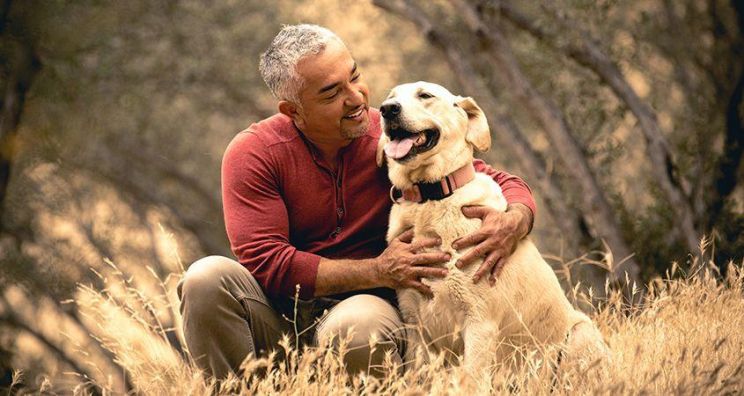 Cesar Millan