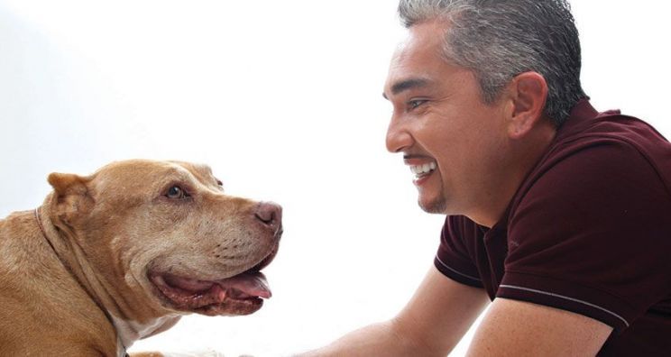 Cesar Millan