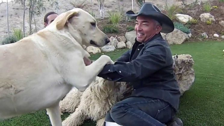 Cesar Millan