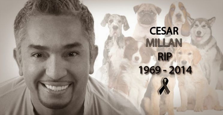 Cesar Millan