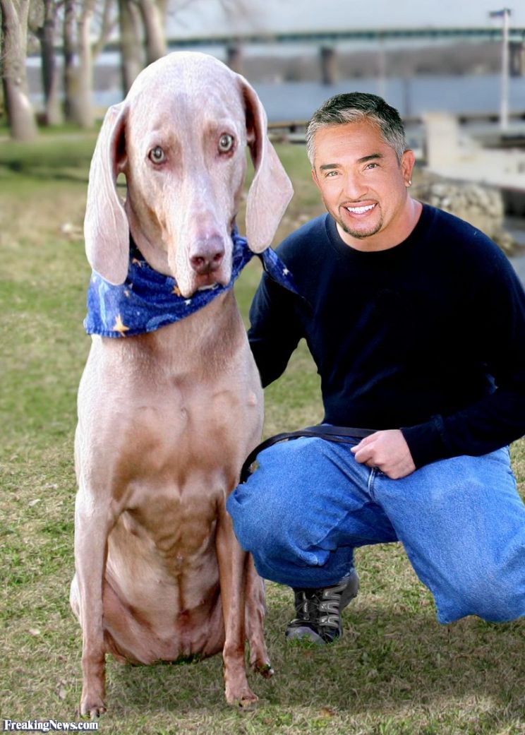 Cesar Millan