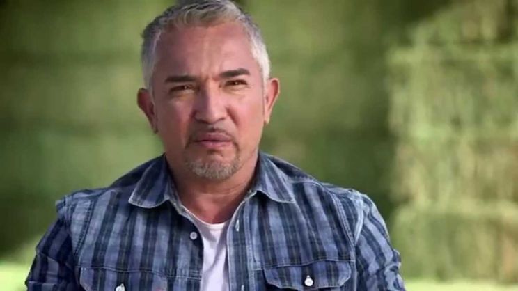 Cesar Millan