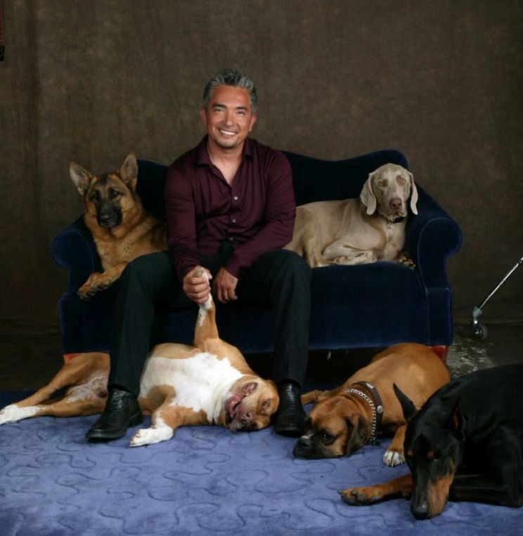 Cesar Millan