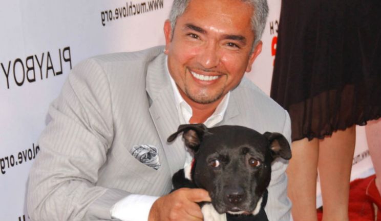 Cesar Millan