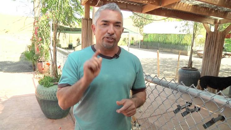 Cesar Millan