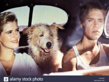 Chad Lowe photo