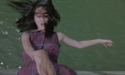 Chan-wook Park