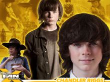 Chandler Riggs photo