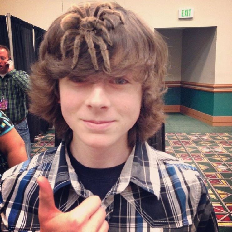 Chandler Riggs