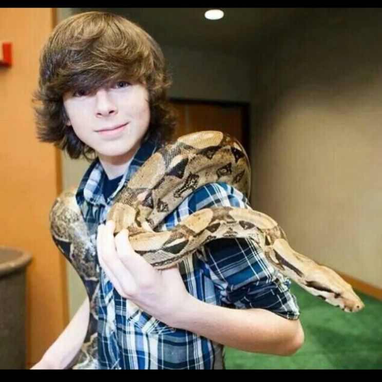 Chandler Riggs