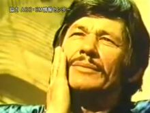Charles Bronson photo