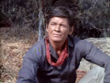 Charles Bronson