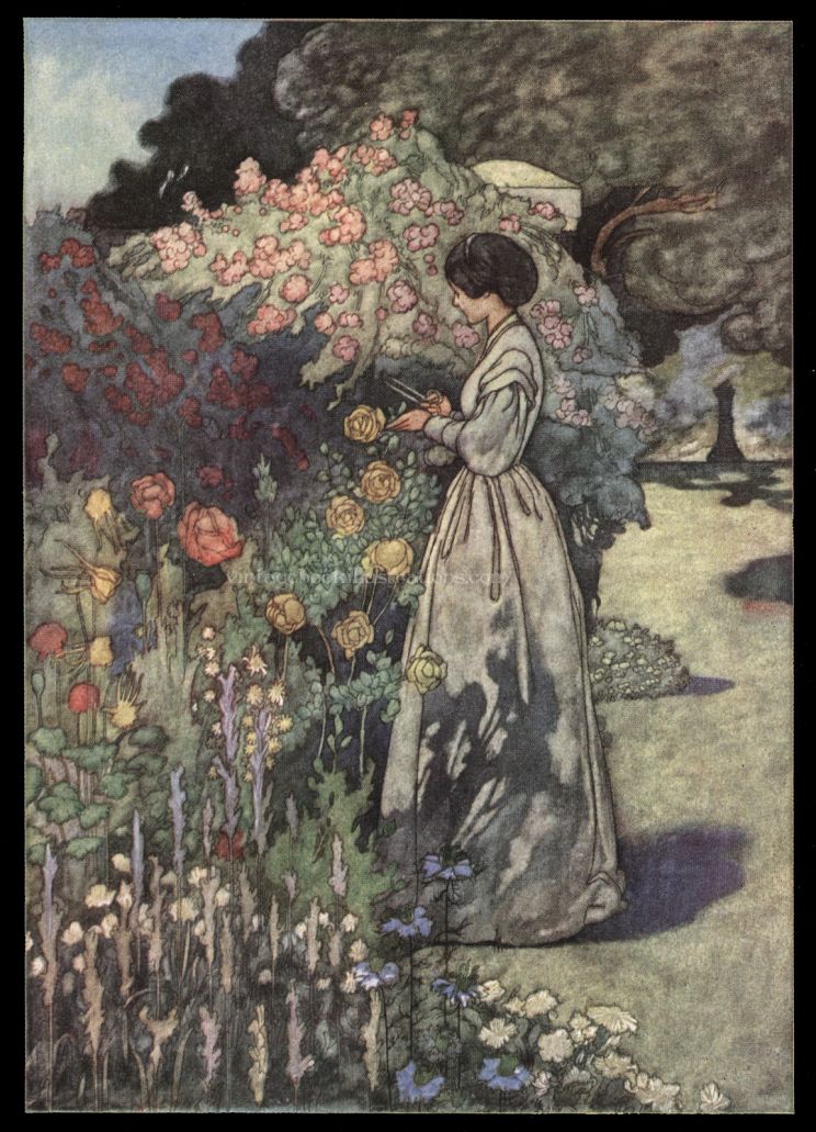 Charles Robinson