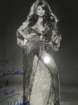 Charo #405515 picture (Portrait Medium)