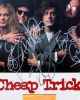 Cheap Trick