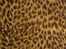 Cheeta
