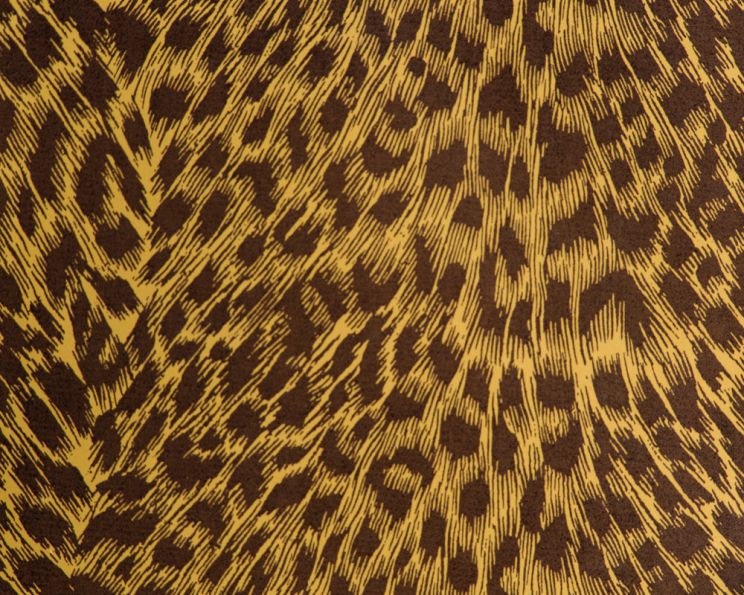 Cheeta