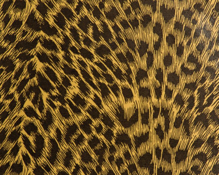 Cheeta