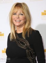 Cheryl Tiegs #740523 picture (Portrait Medium)