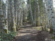Cheyenne Hill