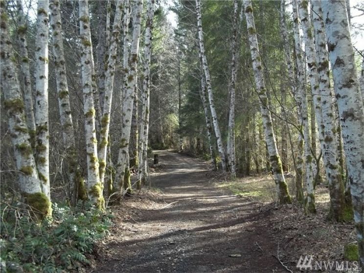 Cheyenne Hill