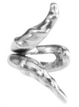 Cheyenne Silver photo