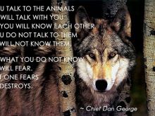 Chief Dan George