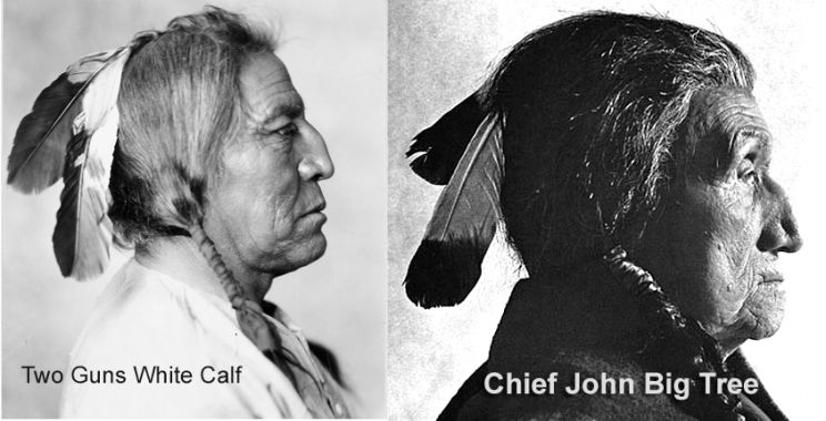 Chief John Big Tree