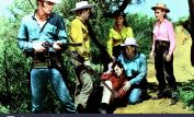 Chill Wills