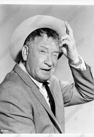 Chill Wills