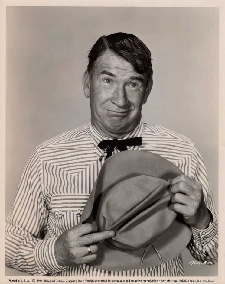 Chill Wills