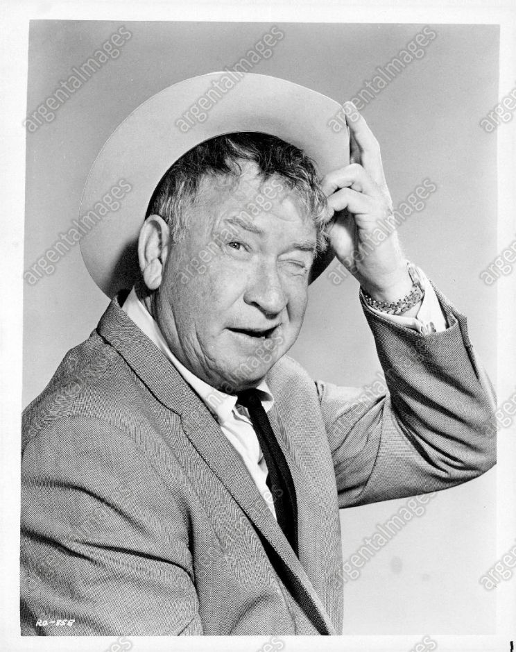 Chill Wills