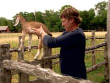 Chip Gaines