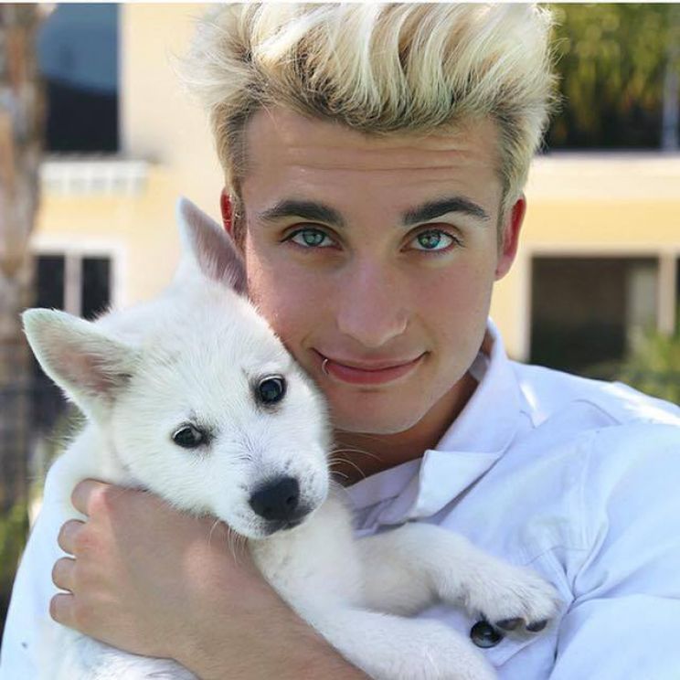 Chris Collins