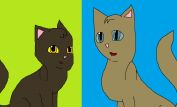 Chris Kratt