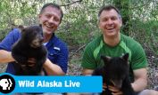 Chris Kratt