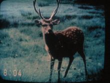 Chris Marker