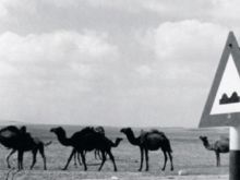 Chris Marker