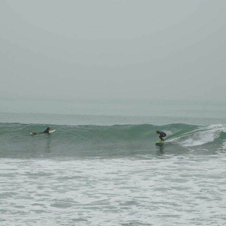 Chris Taloa