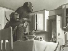 Chris Van Allsburg