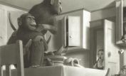 Chris Van Allsburg